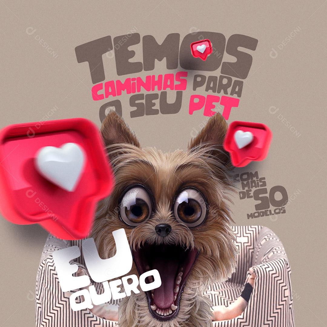 Social Media Pet Shop Temos Caminhas Para o Seu Pet PSD Editável