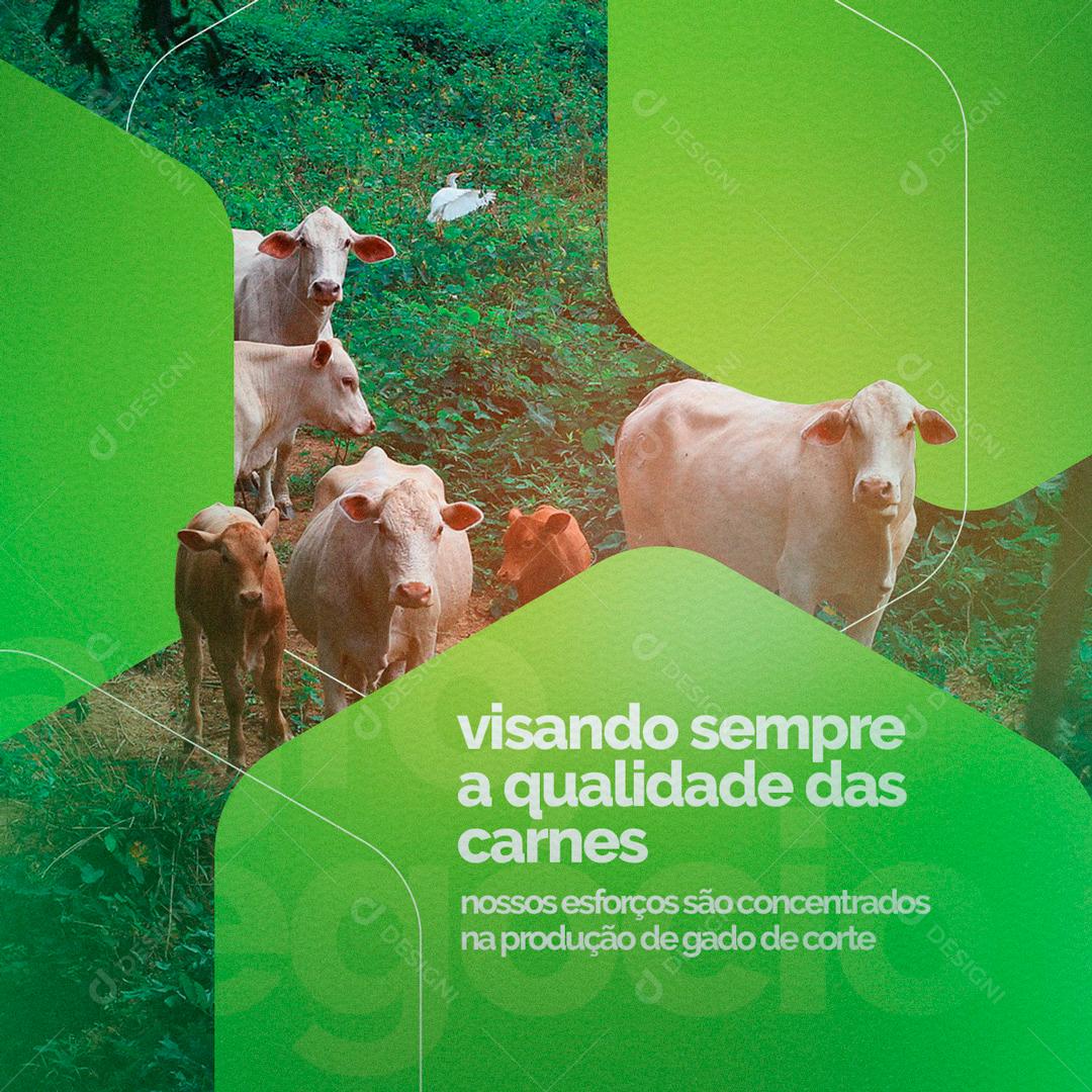 Visando Sempre As Qualidades Da Carne Bovina Social Media PSD Editável