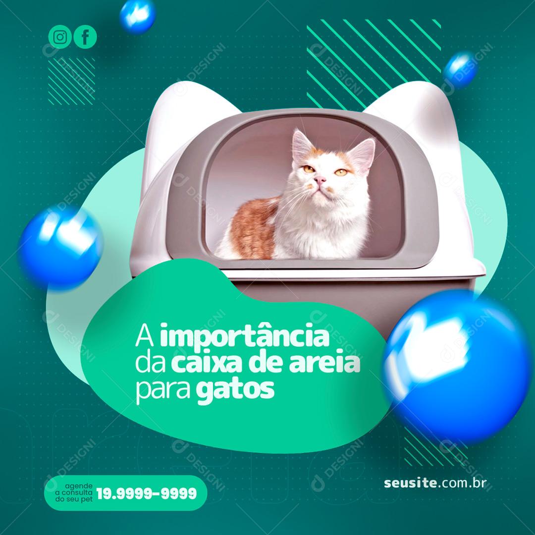 Social Media A Importância Da Caixa De Areia Clínica Veterinária PSD Editável