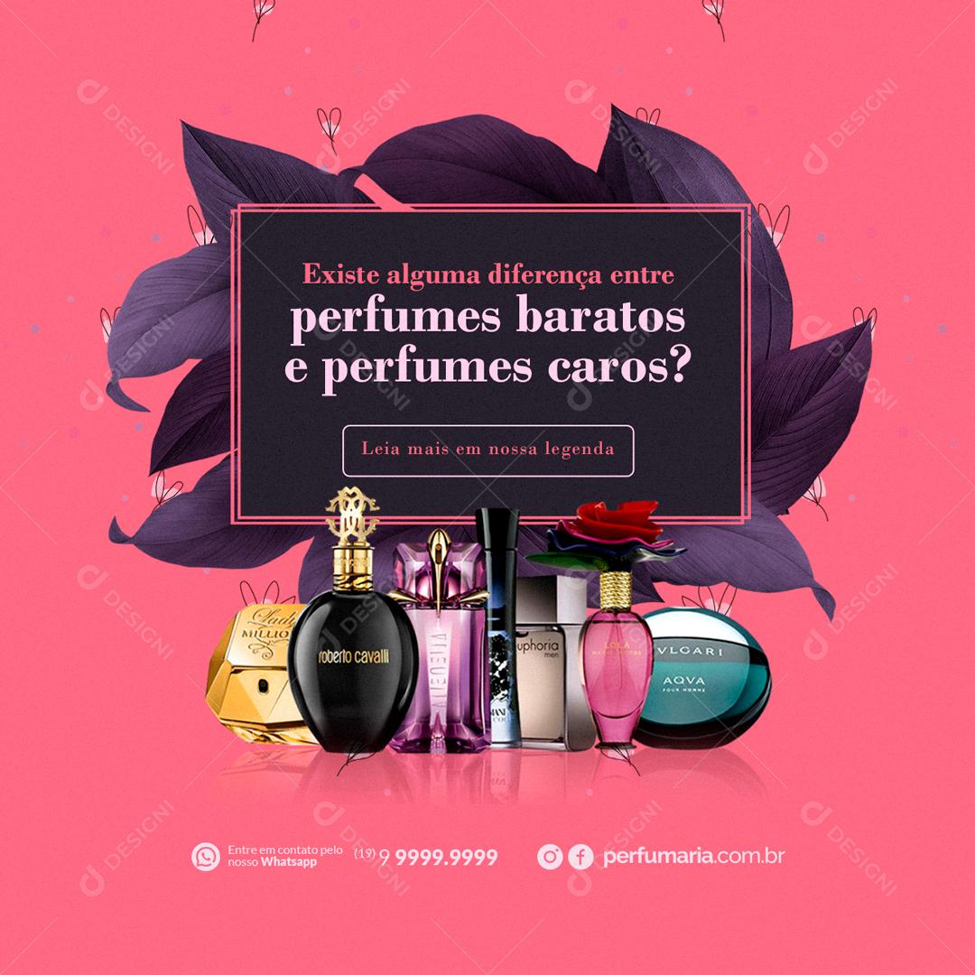 Perfumaria Perfumes baratos e Perfumes caros Social Media PSD Editável