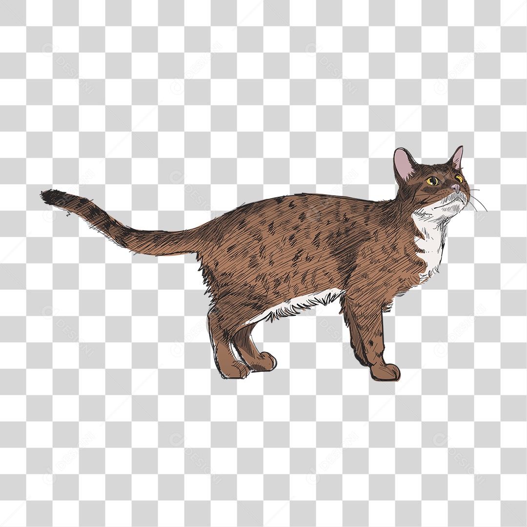 Desenho de Gato filhote [download] - Designi