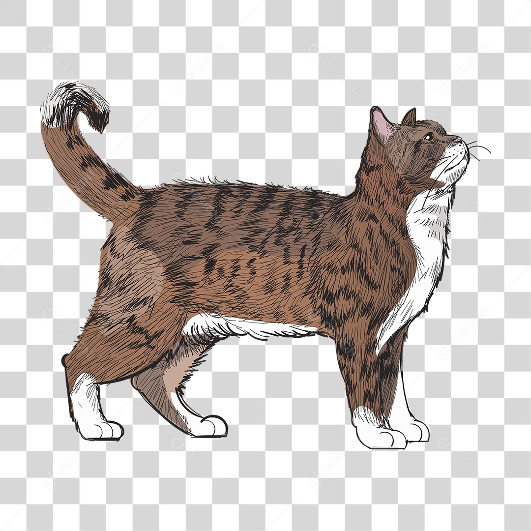 Gato no Sofá - pintura / desenho de gato