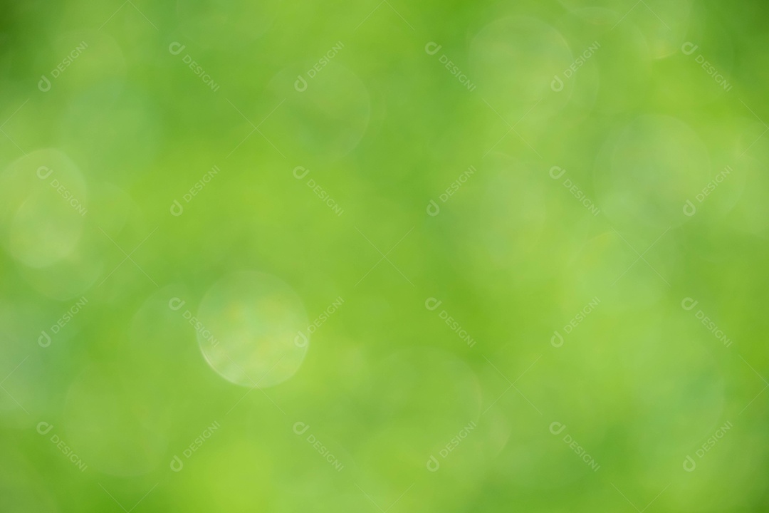 Vista da natureza da folha verde no fundo de vegetação turva no jardim com  espaço de