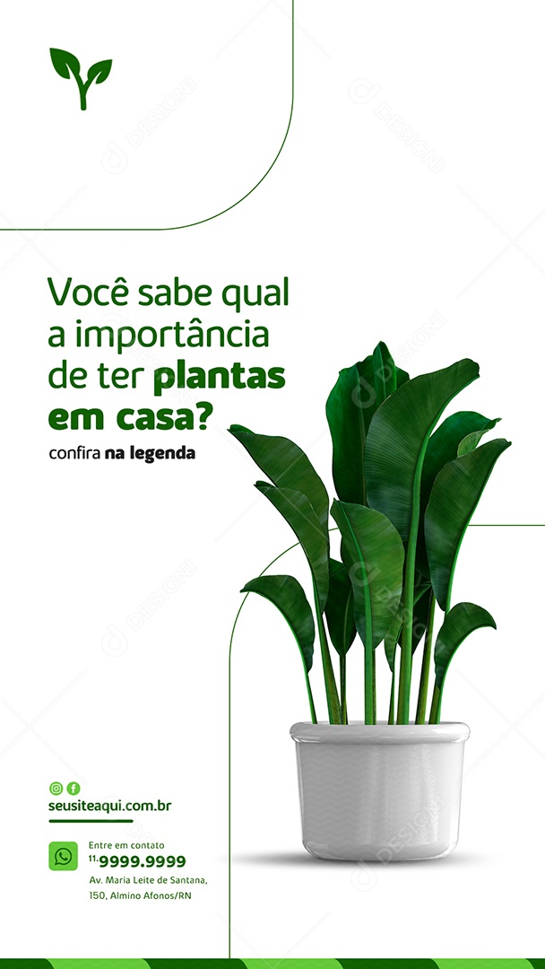 Story Você sabe qual a importância de ter plantas em casa Jardinagem Social Media PSD Editável