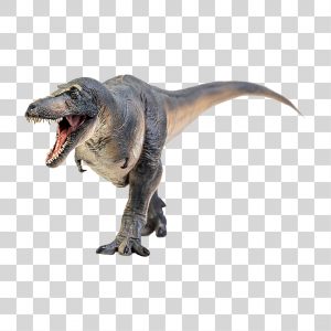 Png De Vetor T Rex PNG , Dino Clipart, Bravo, Animal Imagem PNG e