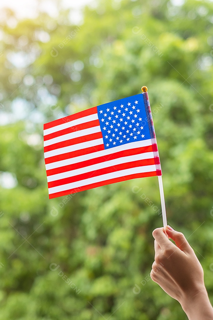 Bandeira Dos Estados Unidos Da Bandeira Americana Dos EUA No Fundo Do Céu  Azul Da Estátua Da Liberdade Imagem de Stock - Imagem de acenar, feriado:  31659389