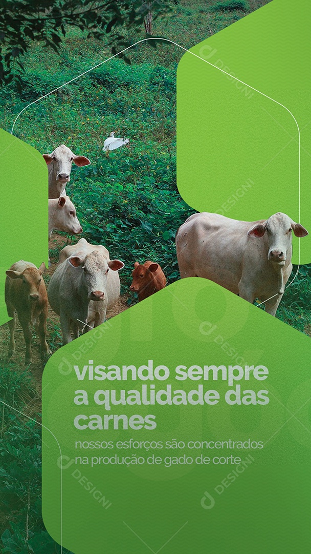 Story Visando sempre a qualidade das Carnes Agronegócio Social Media PSD Editável