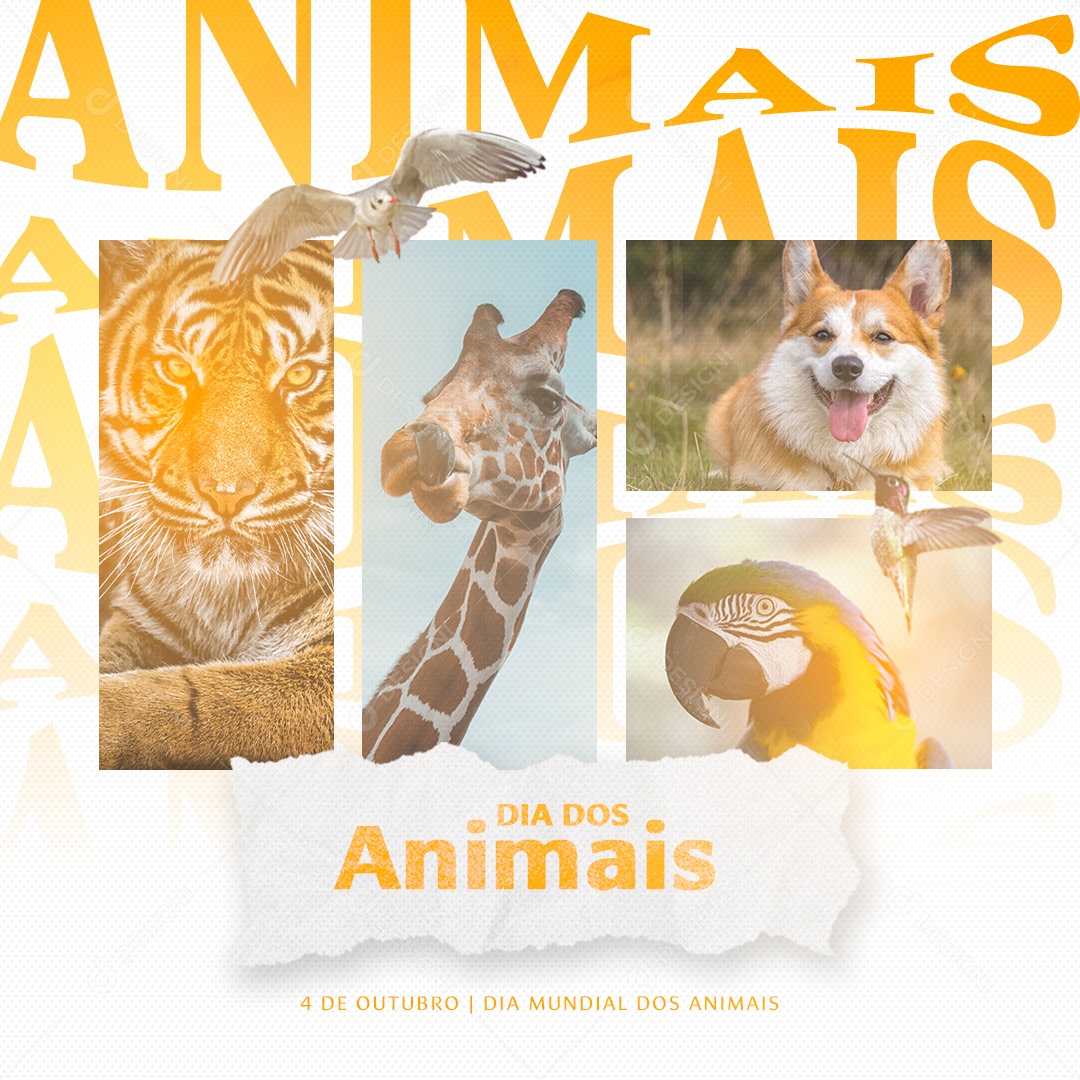 Dia Mundial dos Animais 04 de Outubro Social Media PSD Editável