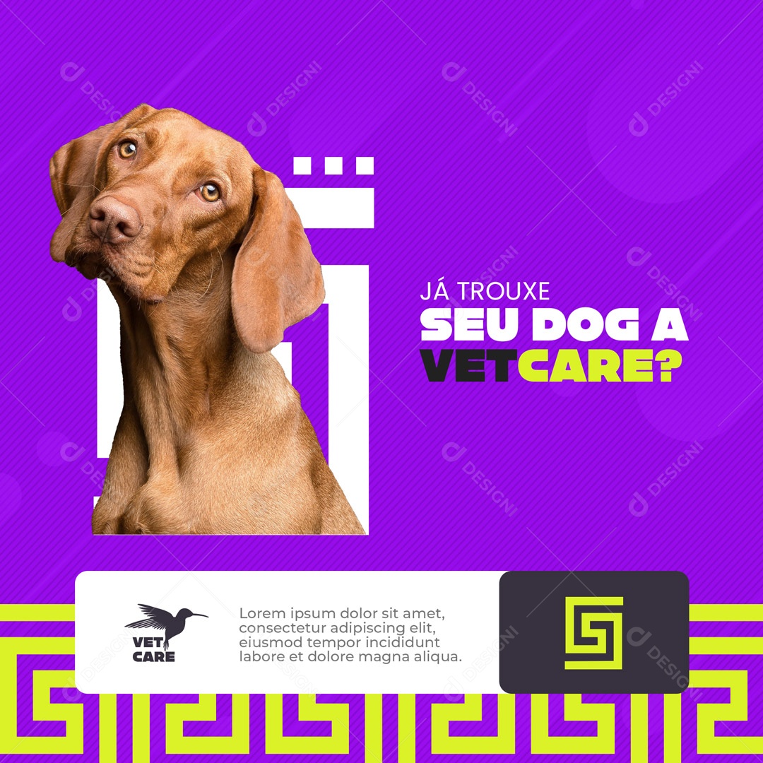 Clínica Veterinária e Pet Shop Já Trouxe seu Dog? Social Media PSD Editável