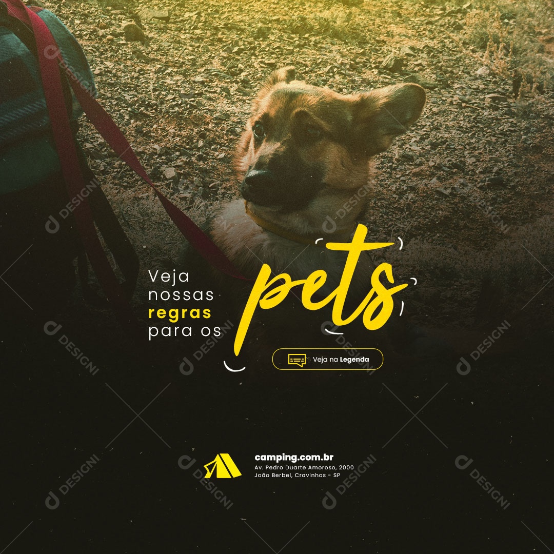 Veja Nossas Regras para os Pets Acampamento Social Media PSD Editável