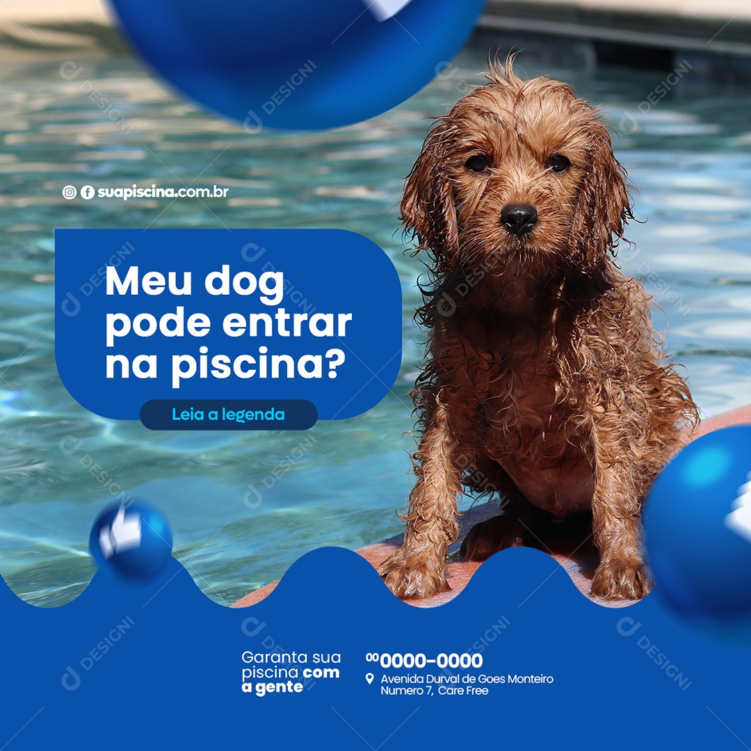 Meu Dog Pode Entrar na Piscina Social Media PSD Editável