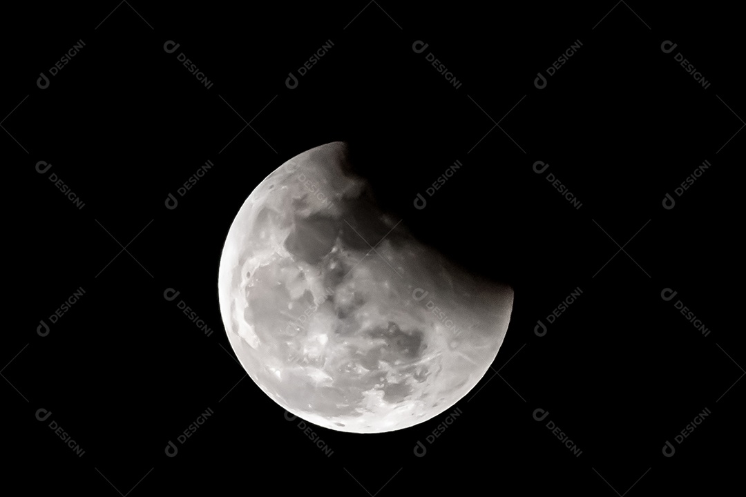 Noite De Halloween Morcego E Elementos Comerciais Lua PNG , Dia Das Bruxas,  Morcego, Moon Imagem PNG e PSD Para Download Gratuito