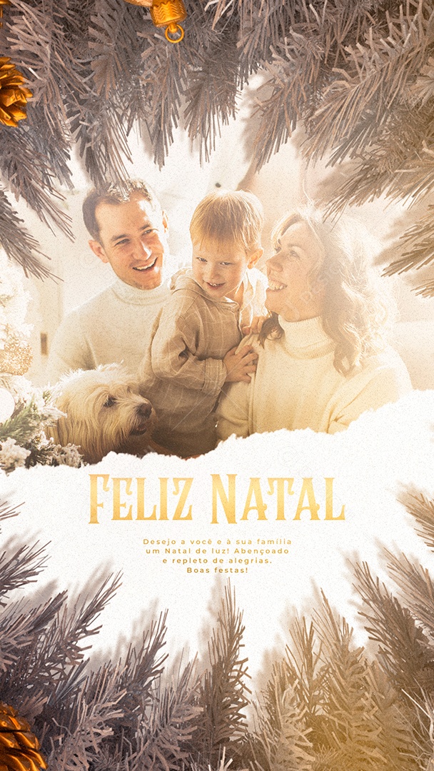 Story Desejo a Você e à Sua Família um Natal de Luz Boas Festas Social Media PSD Editável