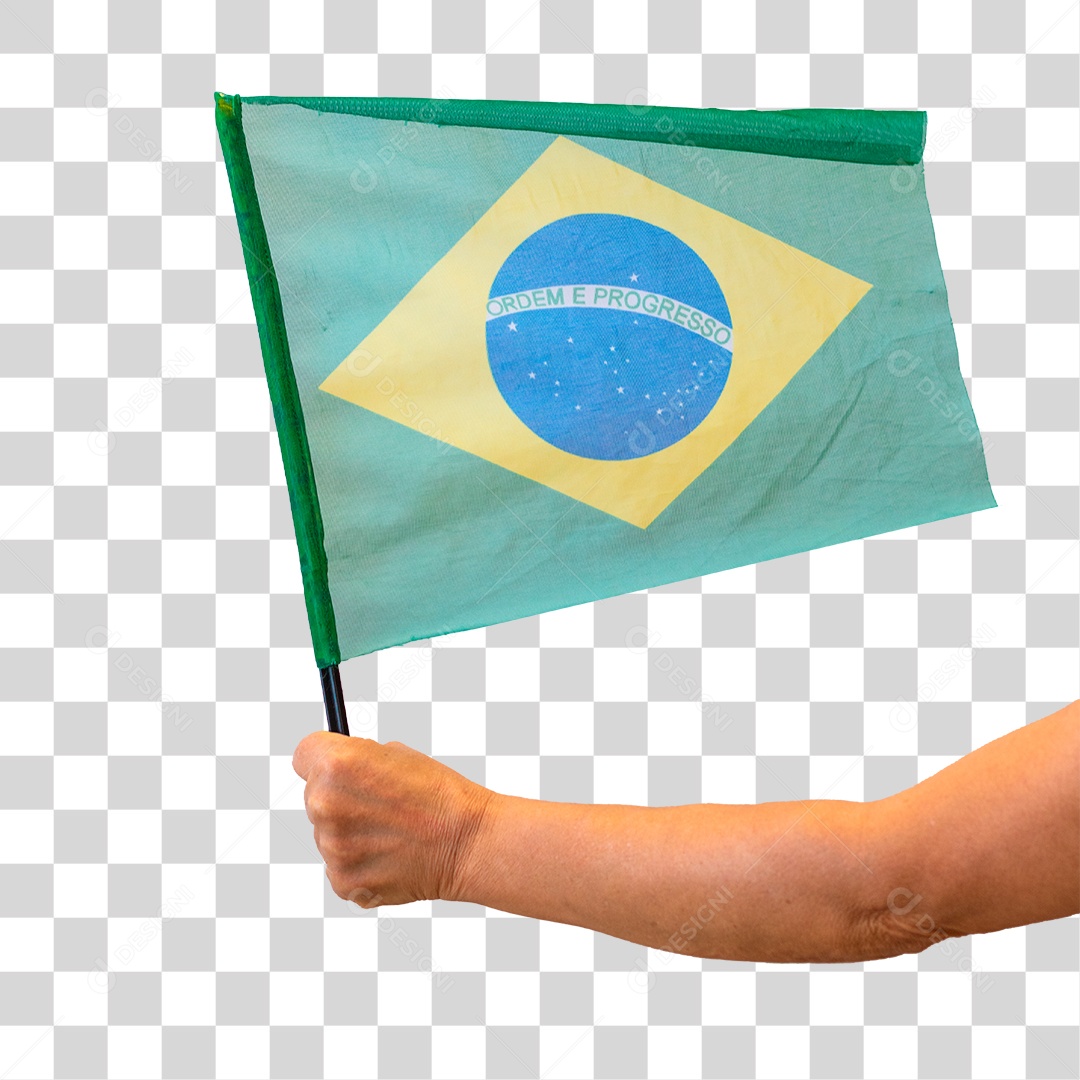 Bandeira do Brasil PNG Transparente [download] - Designi