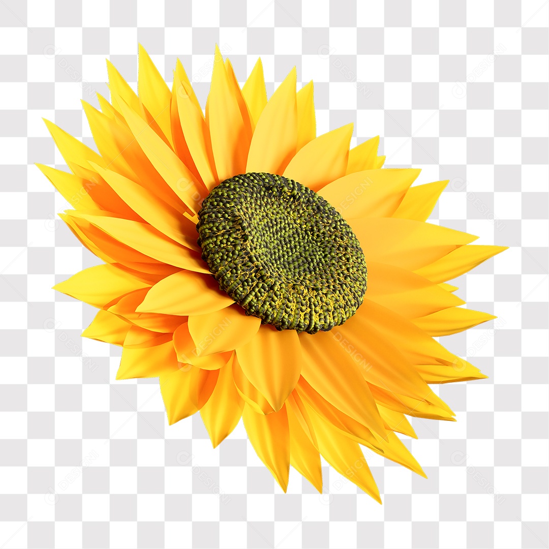 Sunflower 3D Element For Transparent PNG Composition