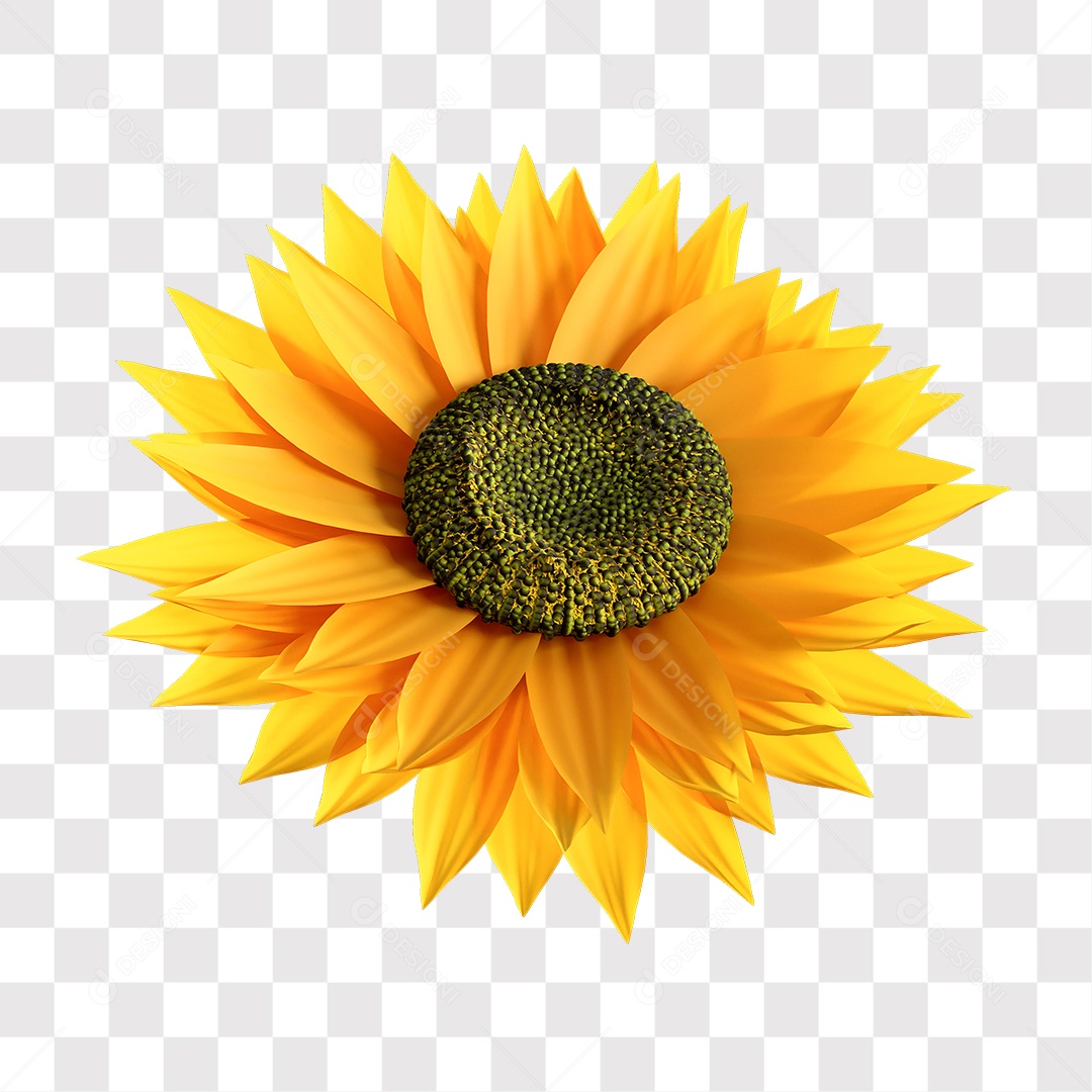 Sunflower 3D Element For Transparent PNG Composition