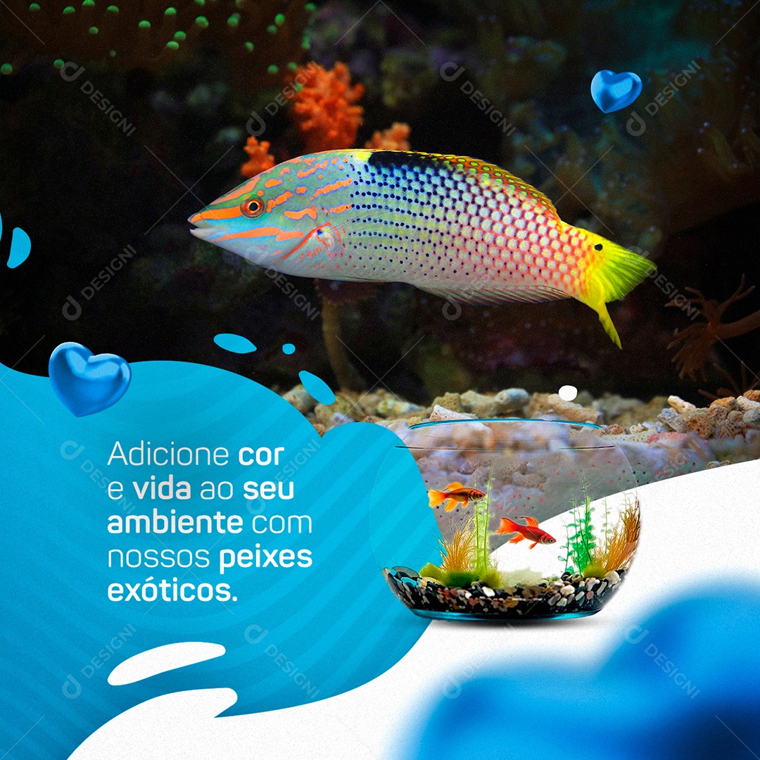 Add Color and Life to Your Environment With Our Exotic Fishes Aquarianism Social Media Editable PSD