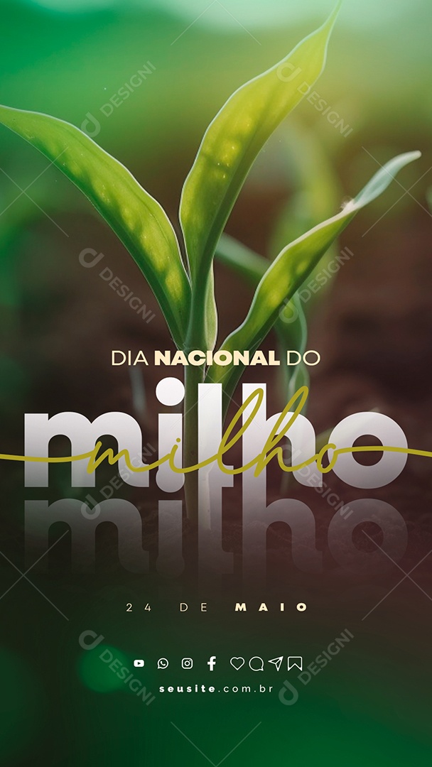 Story Dia Nacional Do Milho 24 De Maio Social Media PSD Editável