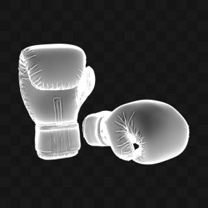 Luvas de Boxe  - Modelo 3D