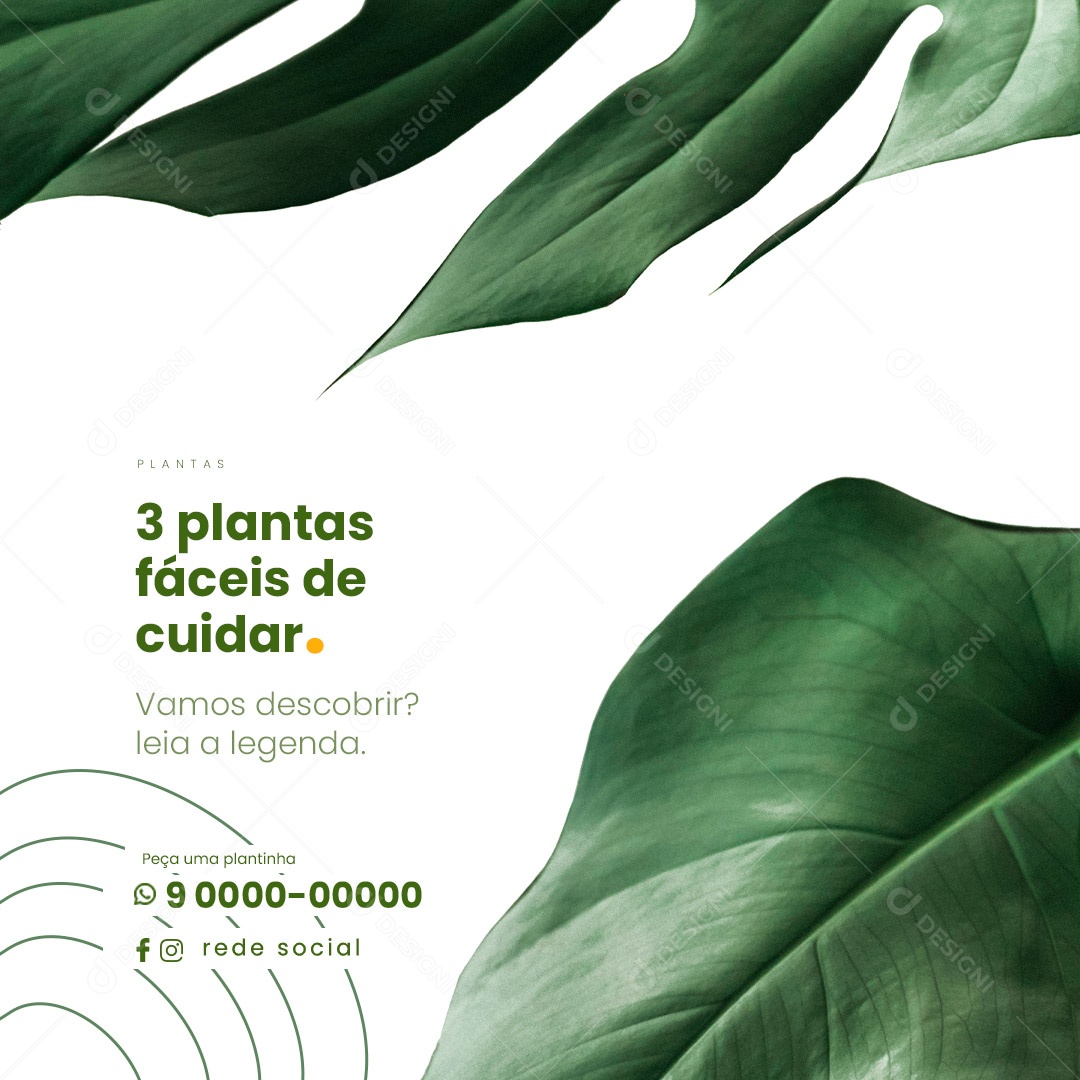 Social Media 3 Plantas Fáceis De Cuidar Jardinagem PSD Editável