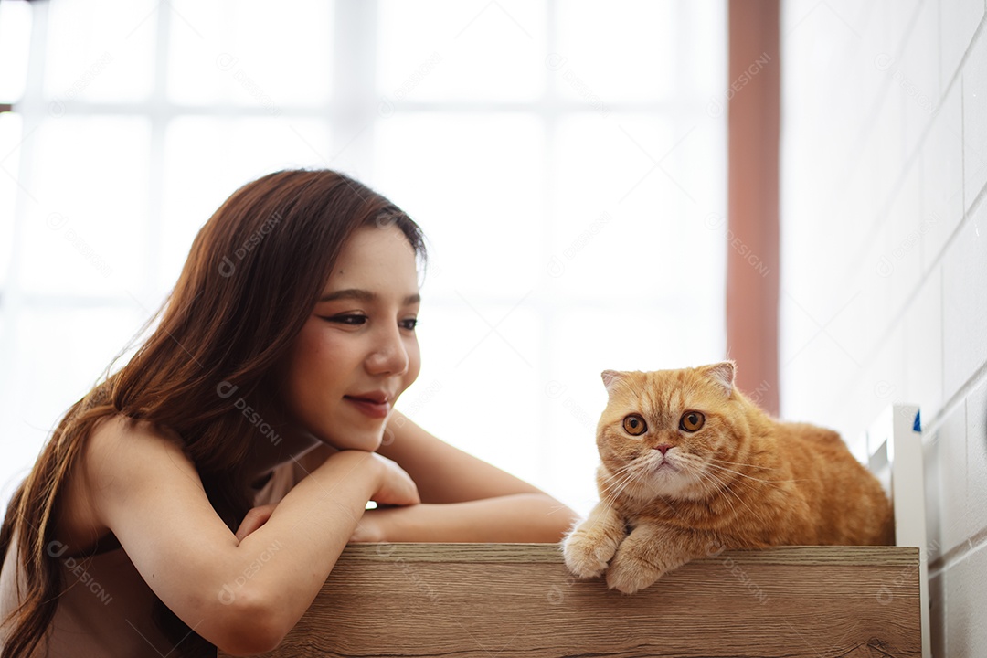 Gato bonito feliz brincalhão em uma casa. Amizade de animais de