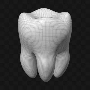 Dente Molar Cartoon - Modelo 3D