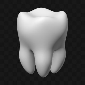 Dente Molar Cartoon - Modelo 3D