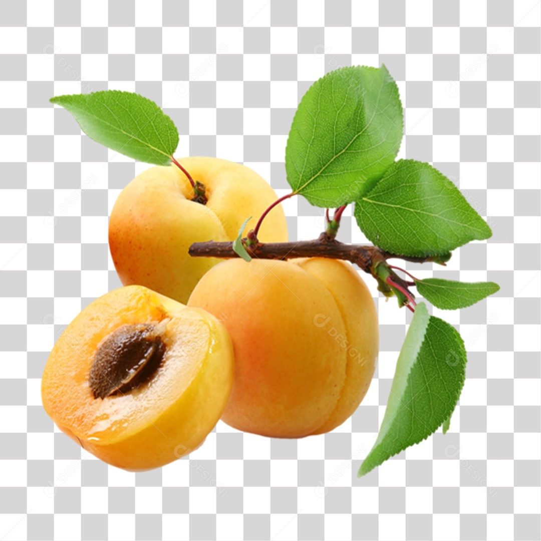 Frutas damasco maduras e frescas PNG Transparente [download] - Designi