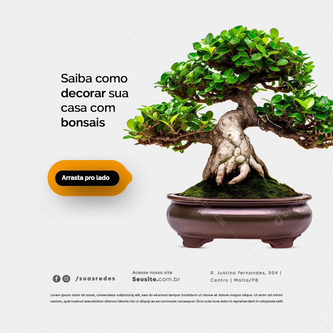 Decoração de Casa Saiba Como Decorar sua Casa com Bonsais Planta Social Media PSD Editável