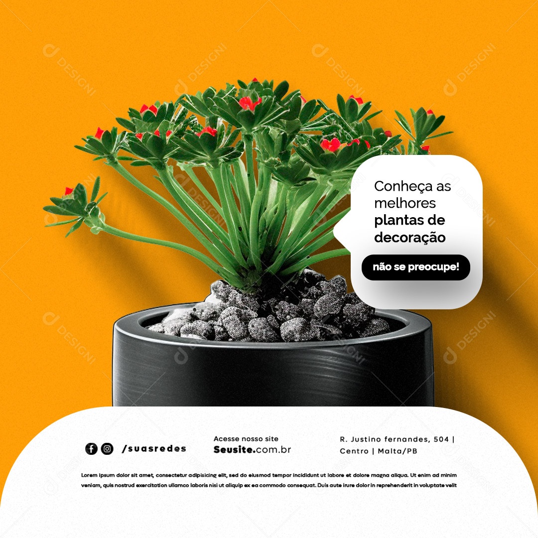 Decoração de Casa Conheça as Melhores Plantas de Decoração Social Media PSD Editável