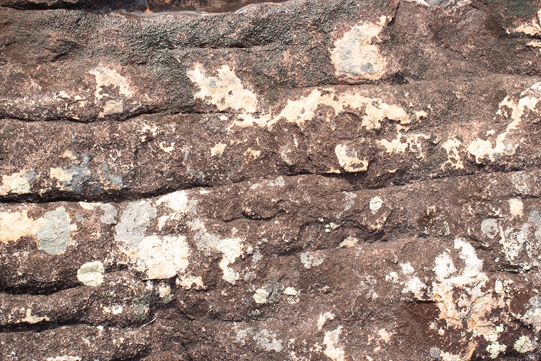 Rock texture with brown mosses