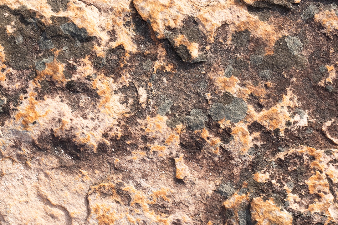 Rock texture with brown mosses