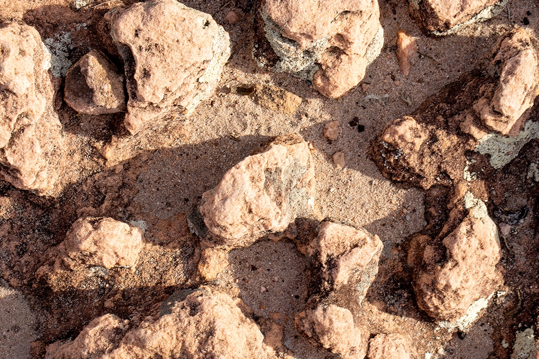 Rock texture with several prominent stones