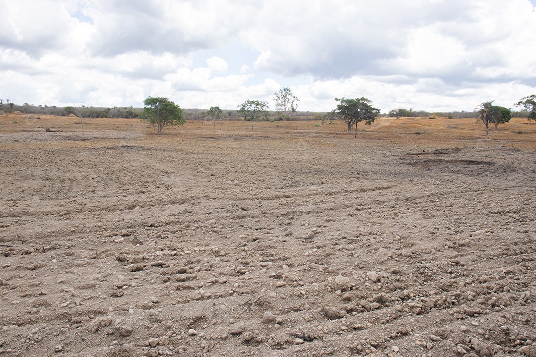 Terra gradeada para plantação