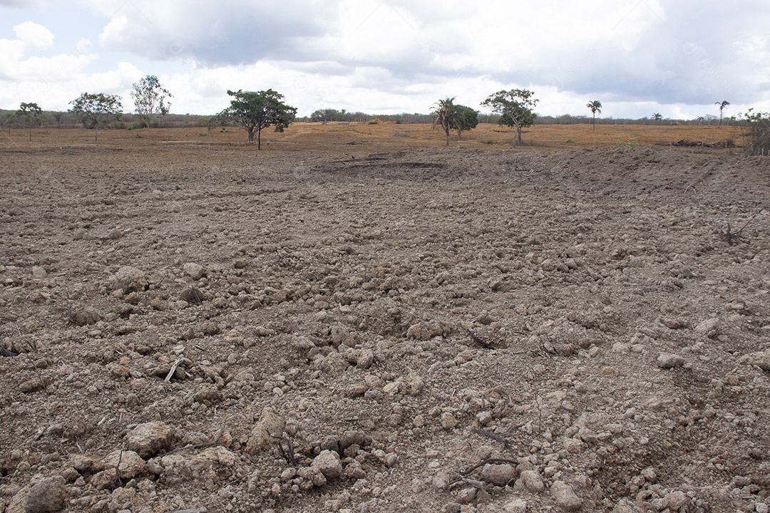 Vista aproximada de um terreno com terra gradeada preparada para a agricultura