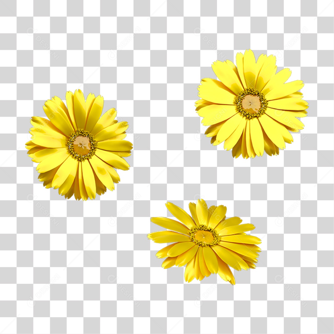 Elemento 3D Flores Amarelas PNG Transparente