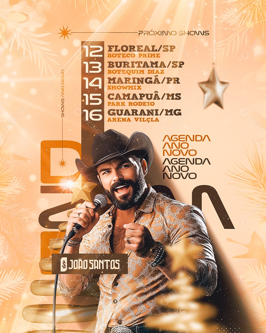 FlyerAgenda New Year João Santos Social Media PSD Editable