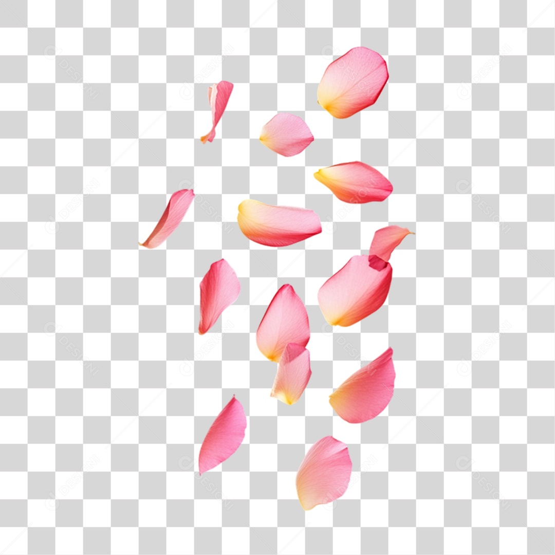 3D Element Flowers Pink Petals PNG Transparent