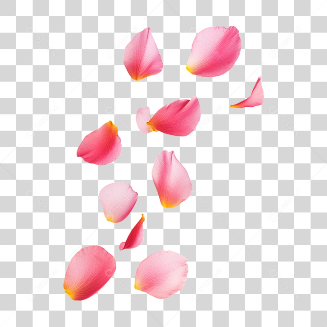 3D Element Flowers Pink Petals PNG Transparent