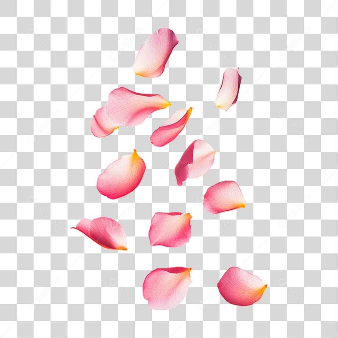 Elemento 3D Flores Rosas Pétalas PNG Transparente