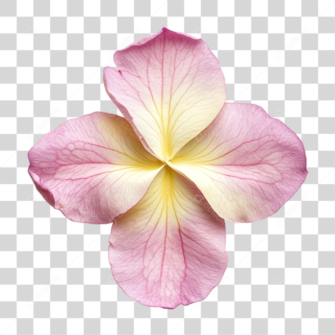 Elemento 3D Flores Rosas PNG Transparente