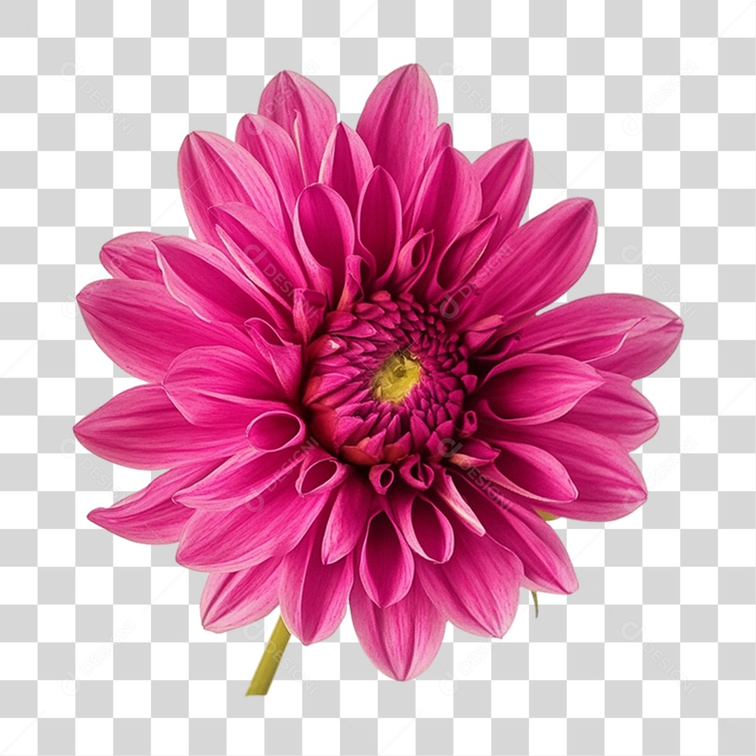 Elemento 3D Flores Rosas PNG Transparente