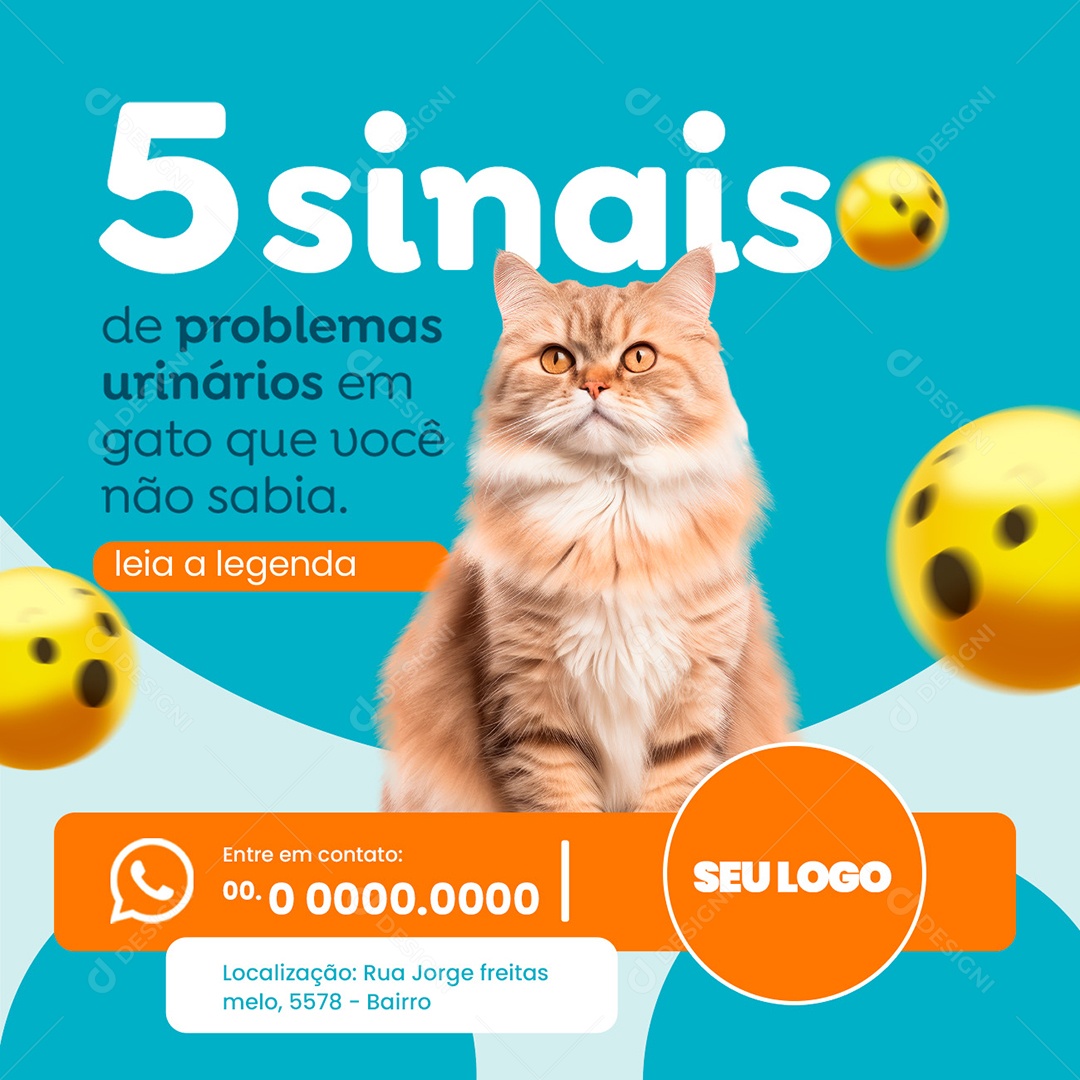 Petshop Cinco Sinais De Problemas Urinários Do Seu Pet Social Media PSD Editável